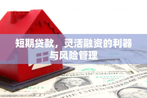 铁西短期贷款，灵活融资的利器与风险管理