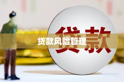 铁西贷款风险管理