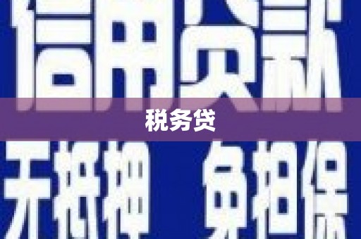 铁西税务贷